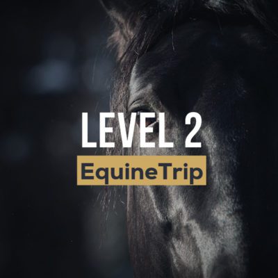 Equine trip L2 400x400 - Level 2 Equine Trip
