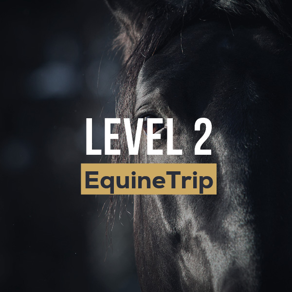 Equine trip L2 - Level 2 Equine Trip
