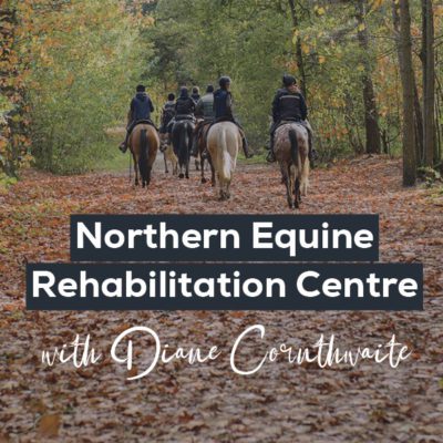 Equine rehab21 400x400 - Diane Cornthwaite – Northern Equine Rehabilitation Centre