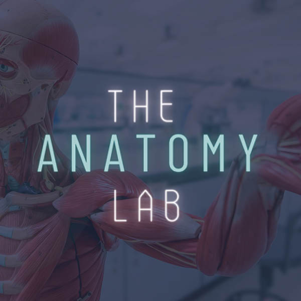 The Anatomy Lab