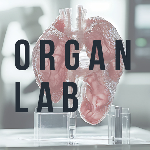 The Organ Lab - April 2026